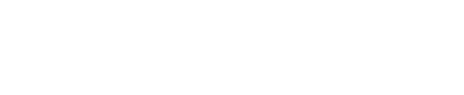 Rynth AI